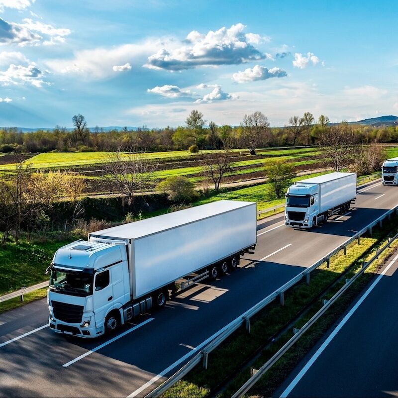 Karayolu uluslararasi tasimacilik hizmetleri